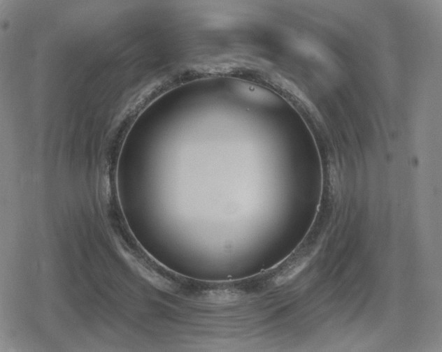 X0000080720541200612151201