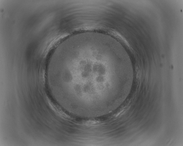 X0000080720542200612151201