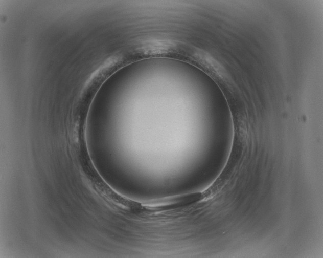 X0000080720543200612151201