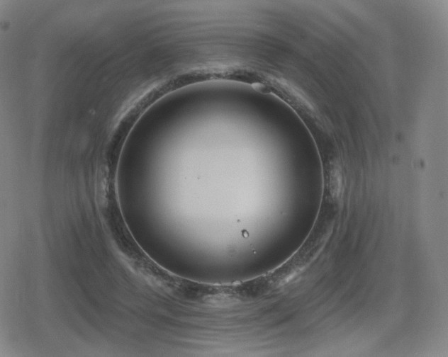 X0000080720544200612151201