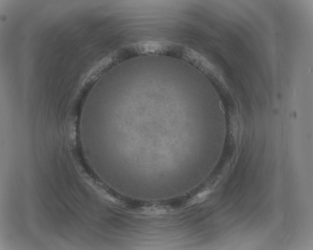 X0000080720545200612151201