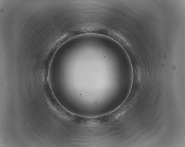 X0000080720546200612151201