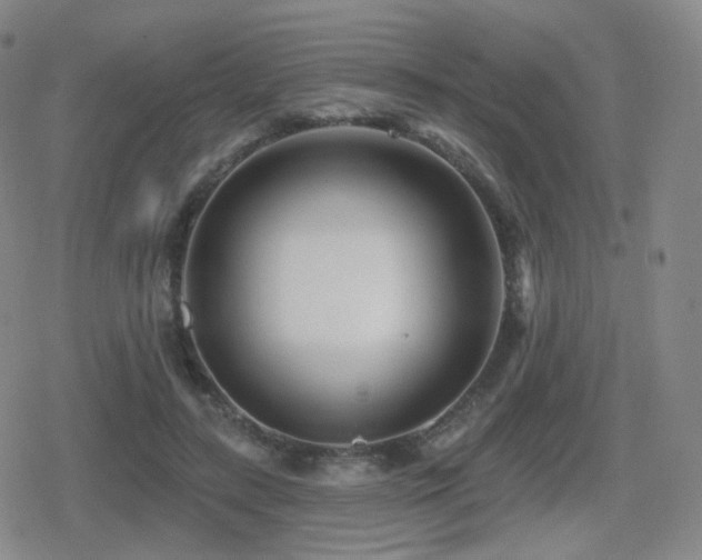 X0000080720547200612151201