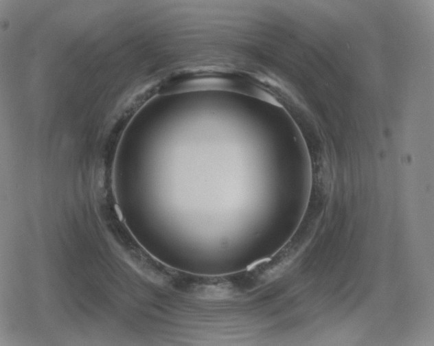 X0000080720548200612151201