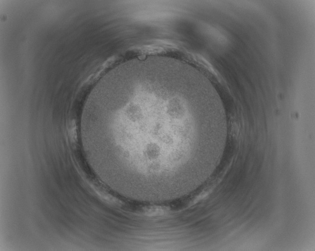 X0000080720549200612151201