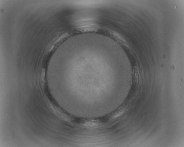 X0000080720550200612151201