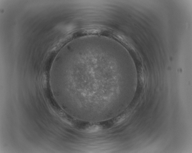 X0000080720551200612151201