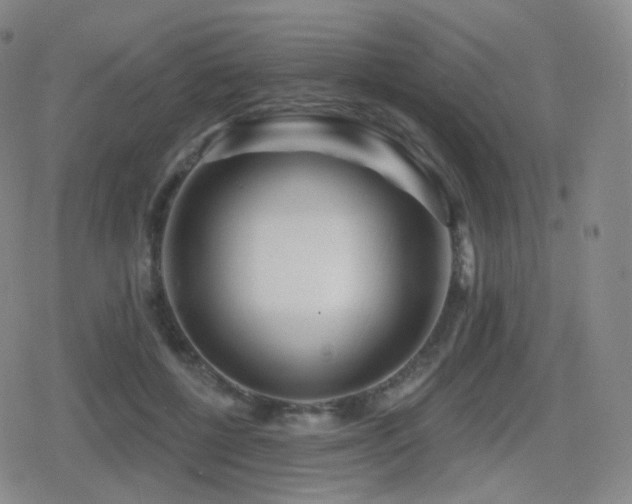 X0000080720552200612151201