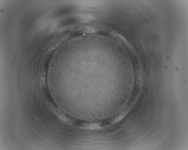 X0000080720553200612151201