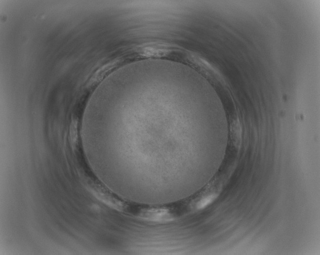 X0000080720554200612151201