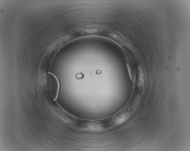 X0000080720555200612151201