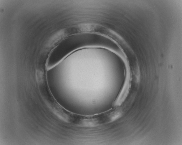 X0000080720556200612151201