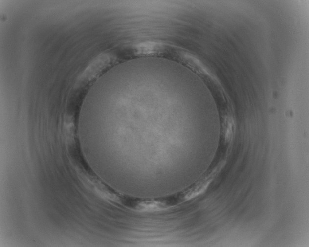 X0000080720557200612151201