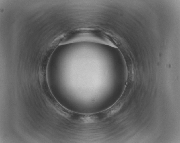 X0000080720558200612151201