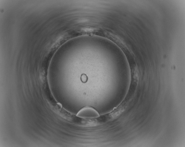 X0000080720559200612151201