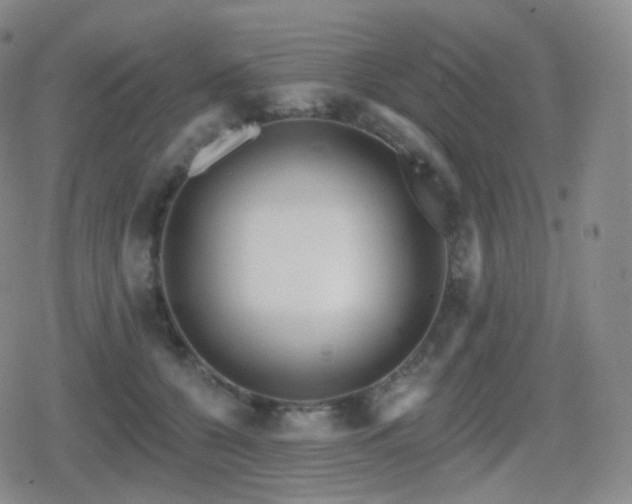 X0000080720560200612151202