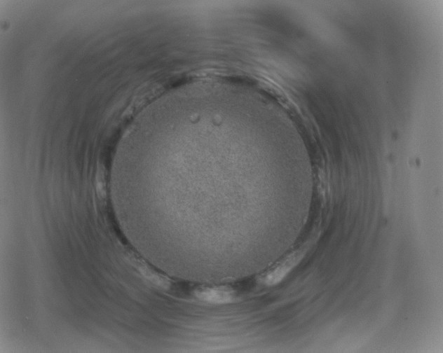 X0000080720561200612151202