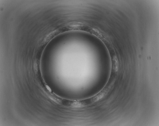 X0000080720562200612151202