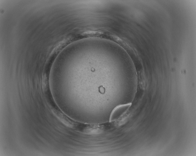 X0000080720563200612151202