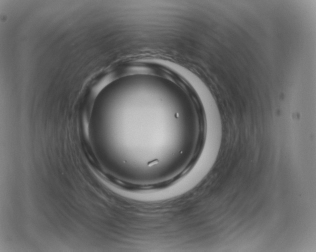 X0000080720564200612151202