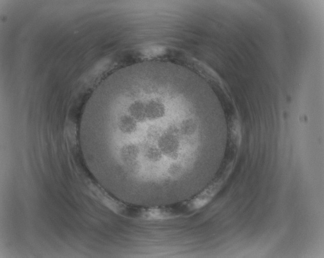 X0000080720565200612151202