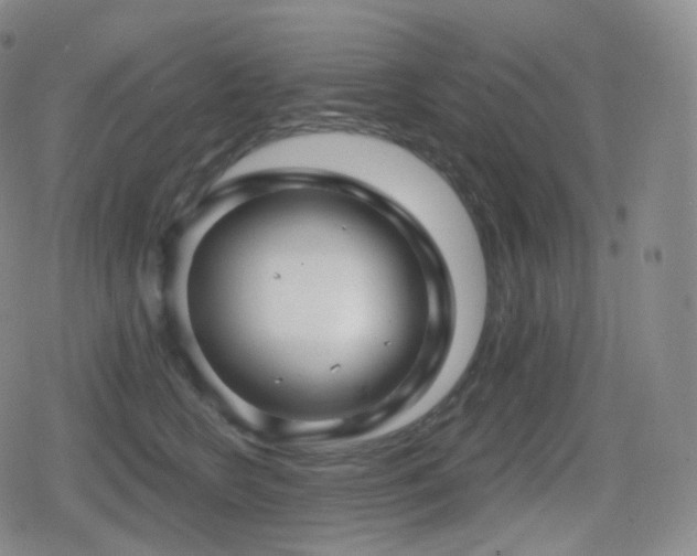 X0000080720566200612151202