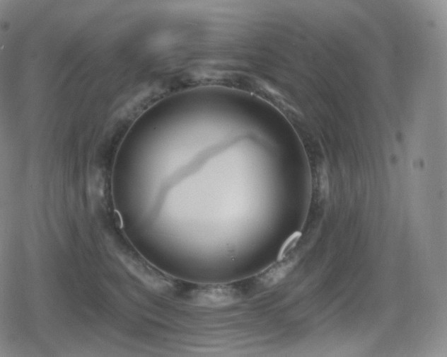 X0000080720567200612151202