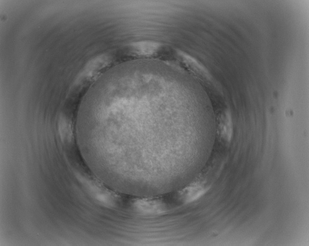 X0000080720568200612151202