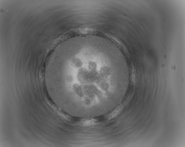 X0000080720569200612151202