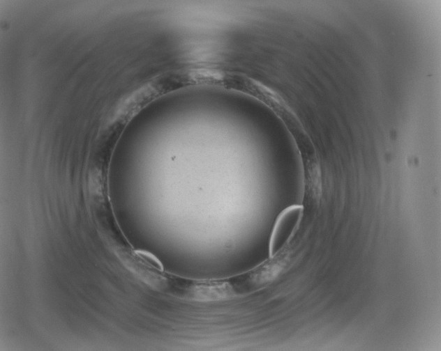 X0000080720571200612151202