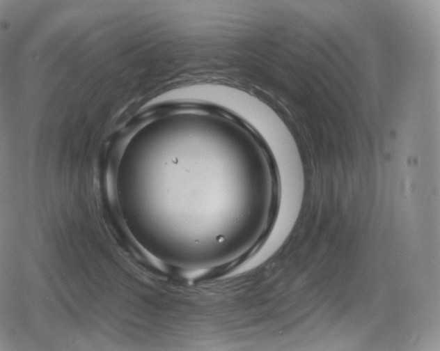 X0000080720572200612151202