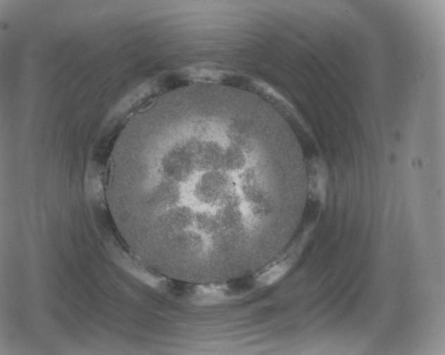 X0000080720573200612151202