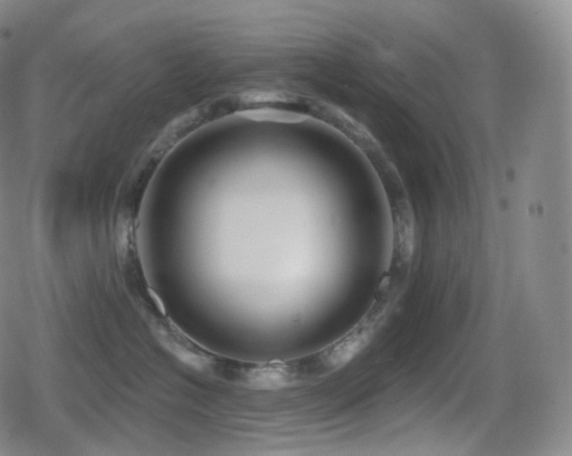 X0000080720574200612151202