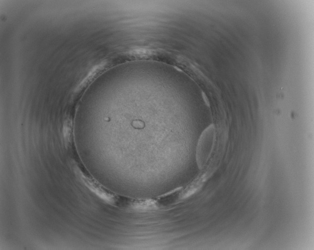 X0000080720576200612151202