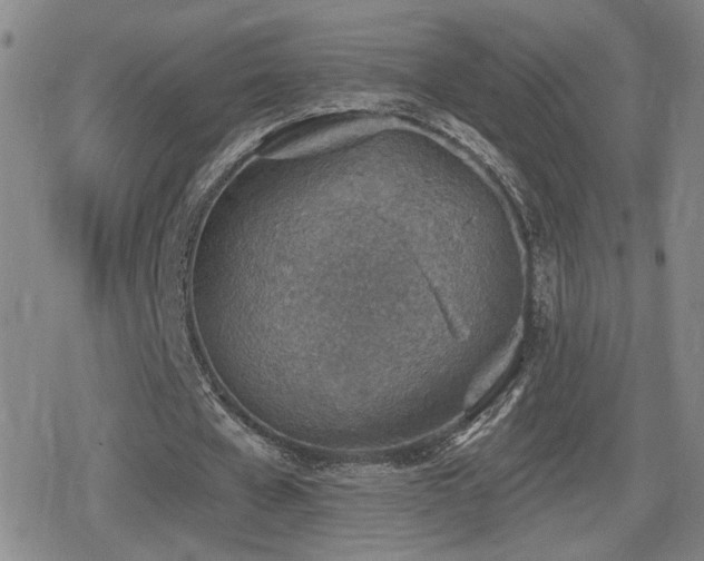 X0000080720577200612151201