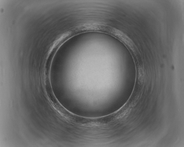 X0000080720578200612151201