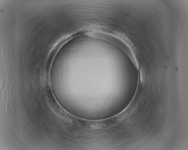 X0000080720579200612151201