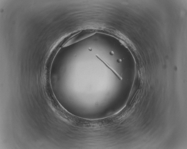 X0000080720580200612151201