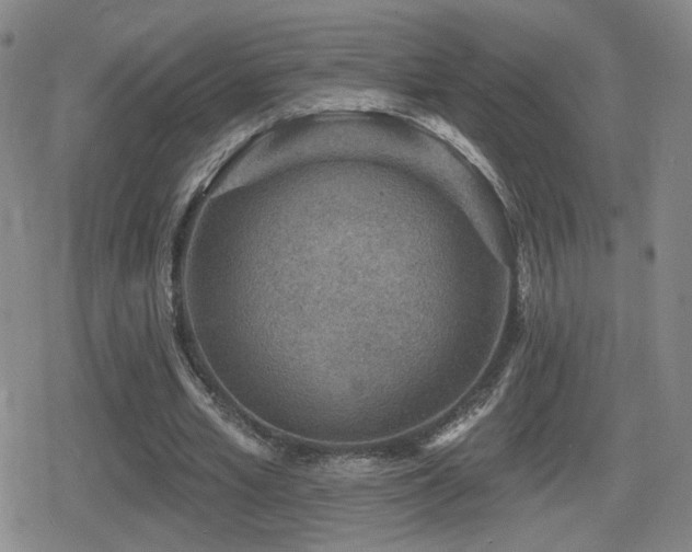 X0000080720581200612151201