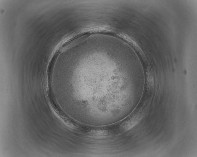 X0000080720582200612151201