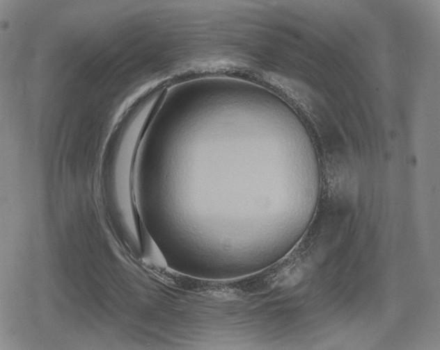 X0000080720583200612151201