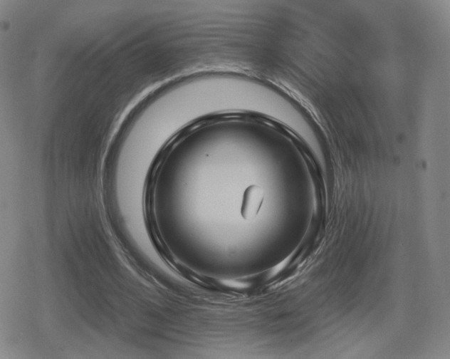 X0000080720584200612151201