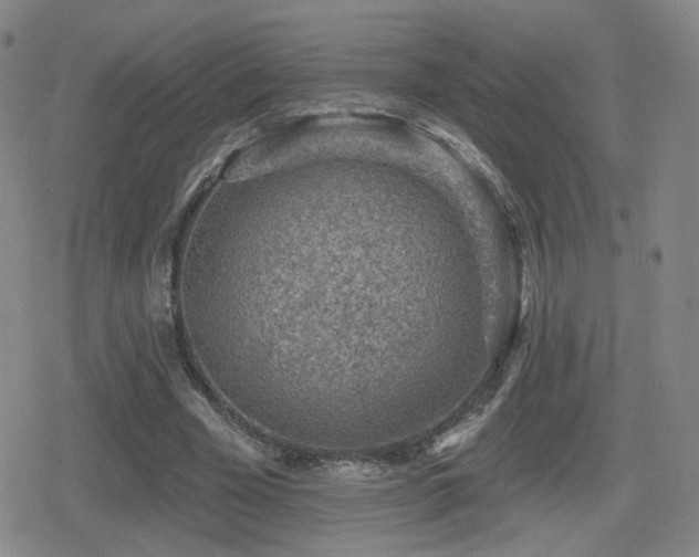 X0000080720585200612151201