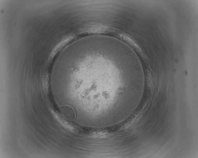 X0000080720586200612151201