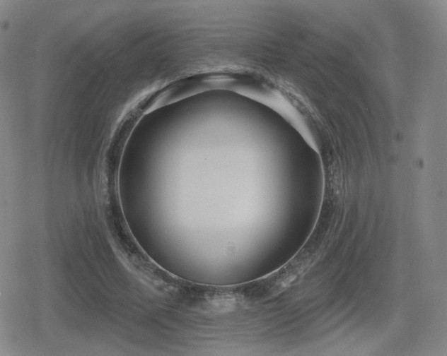 X0000080720587200612151201