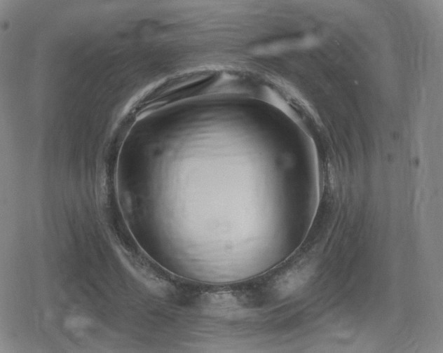 X0000080720588200612151201