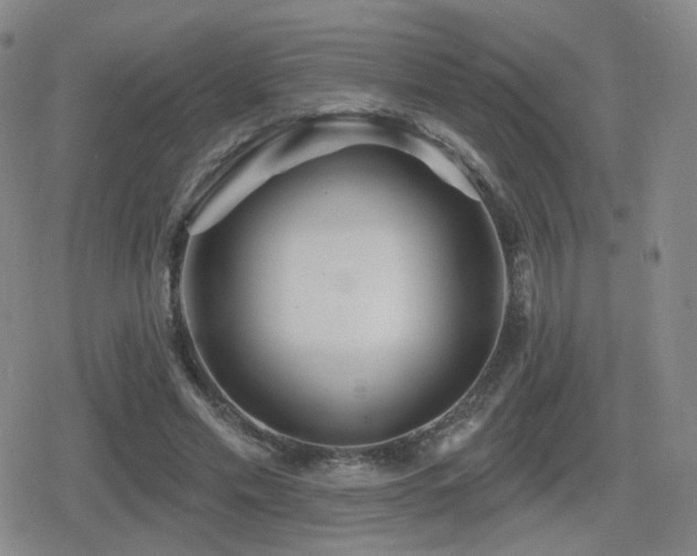 X0000080720589200612151201