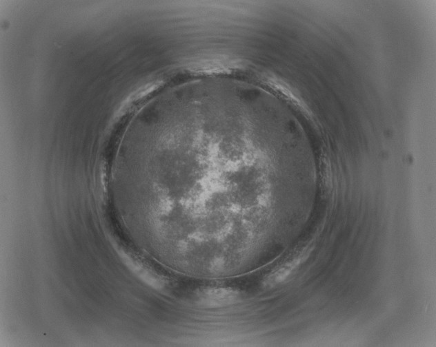 X0000080720590200612151201