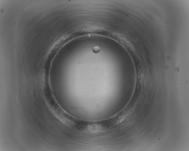 X0000080720591200612151201