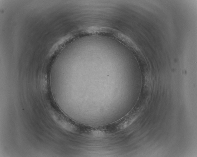 X0000080720592200612151201